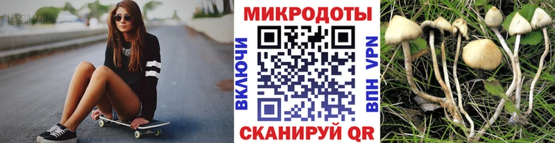 Псилоцибиновые грибы мицелий  Чернушка 