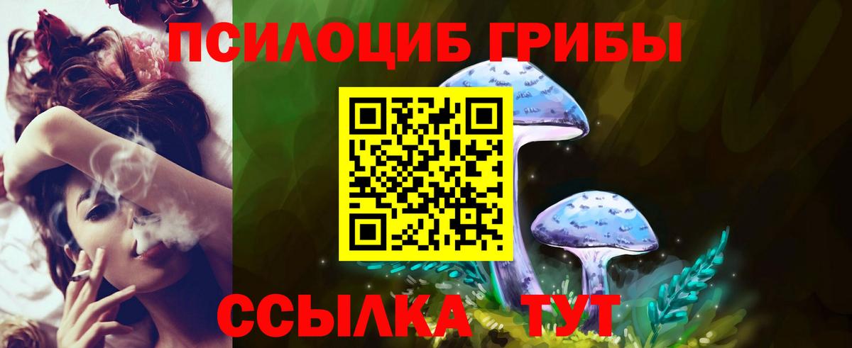 Чернушка  Галлюциногенные грибы прущие грибы  Галлюциногенные грибы MAGIC MUSHROOMS  Вход с VPN 